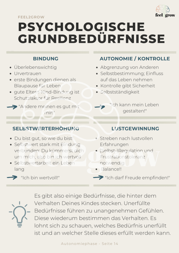 0€ eBook | Autonomiephase - Image 4