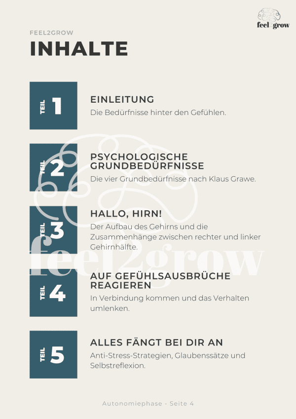 0€ eBook | Autonomiephase - Image 2