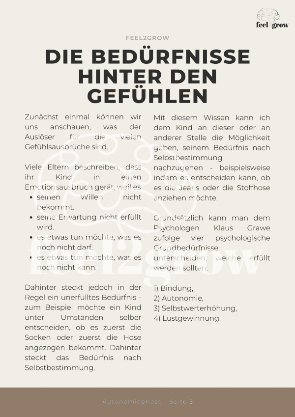 0€ eBook | Autonomiephase - Image 3